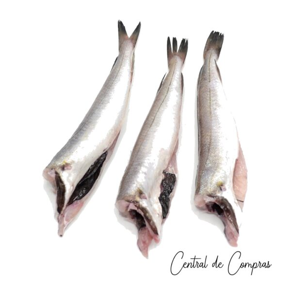 Pescadilla Eviscerada