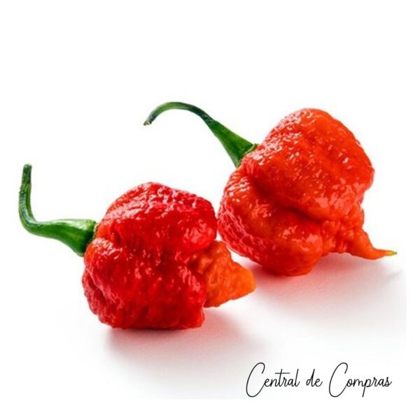 Chile Carolina Reaper