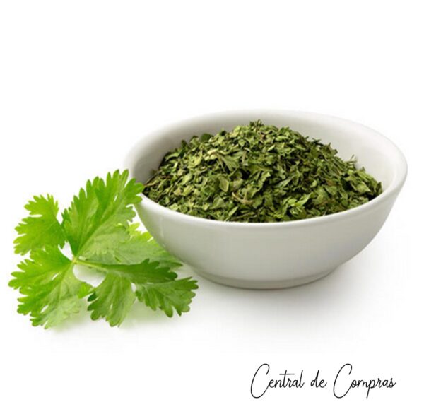 Cilantro Fresco Picado