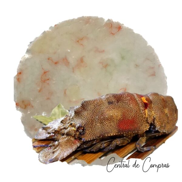 Cigala Real Carpaccio