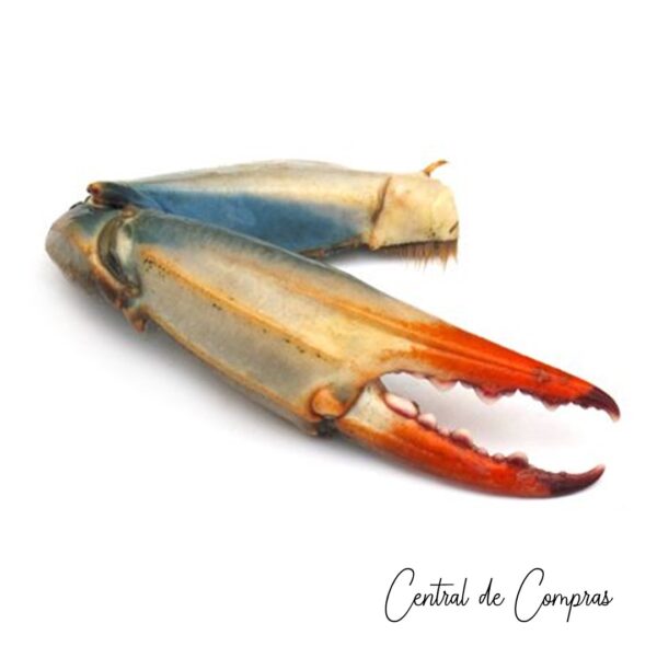 Cangrejo Azul Pinza