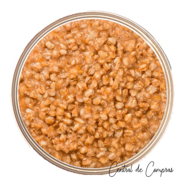 Conserva Sopa Espelta